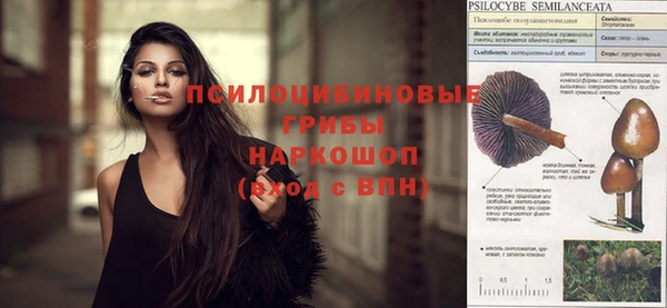 PSILOCYBIN Абинск