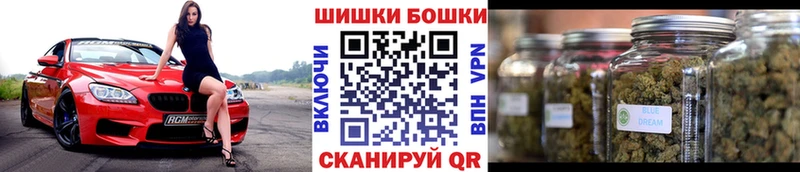 Конопля конопля Сорск